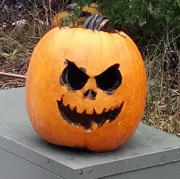 Meet your Posher, Jerry - Picture 1 of 1